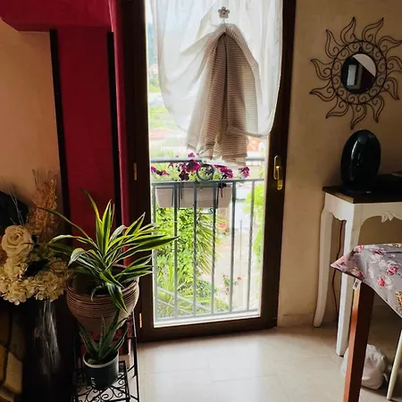 Le Mimose * Ventimiglia